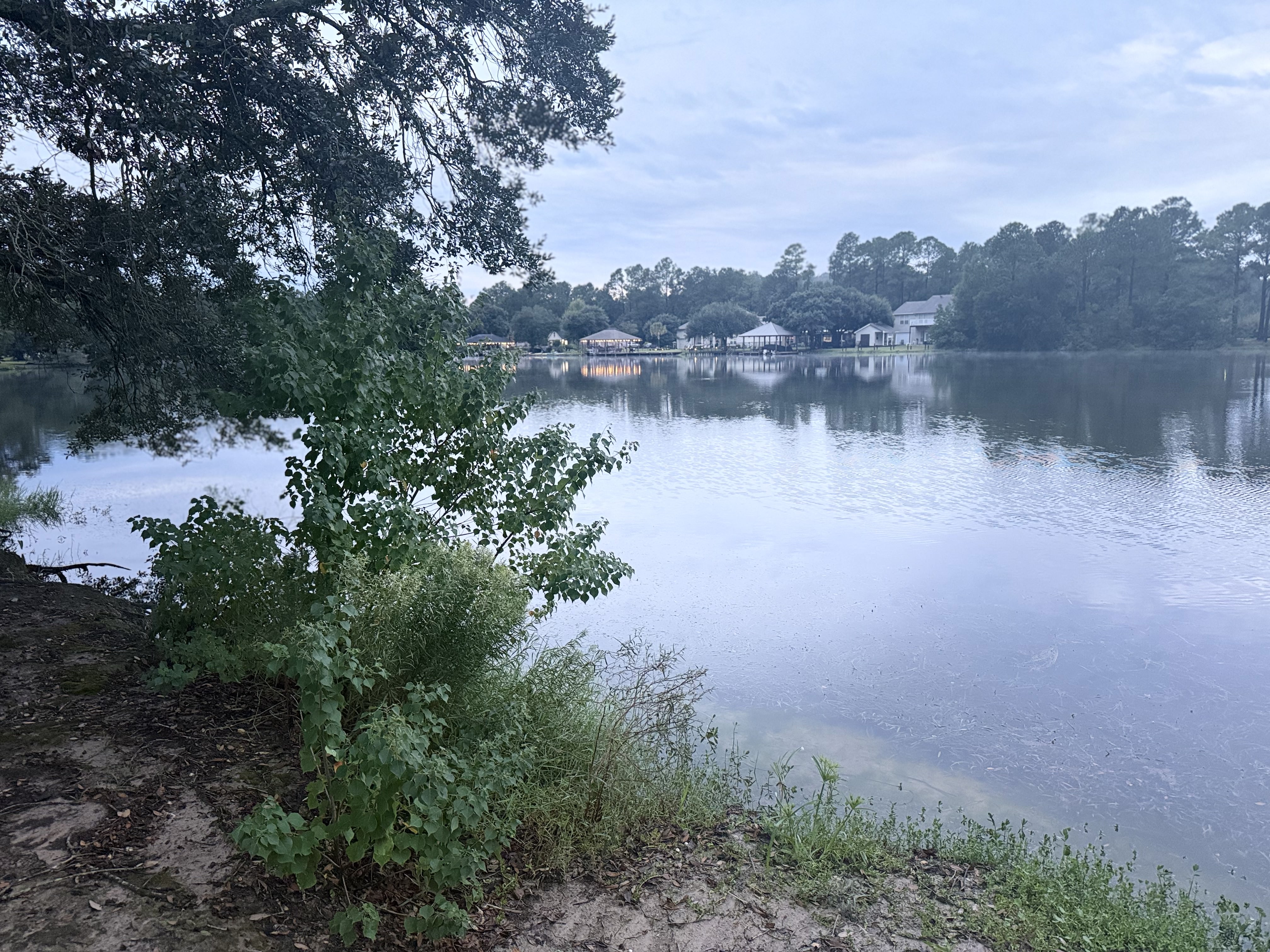 Lake