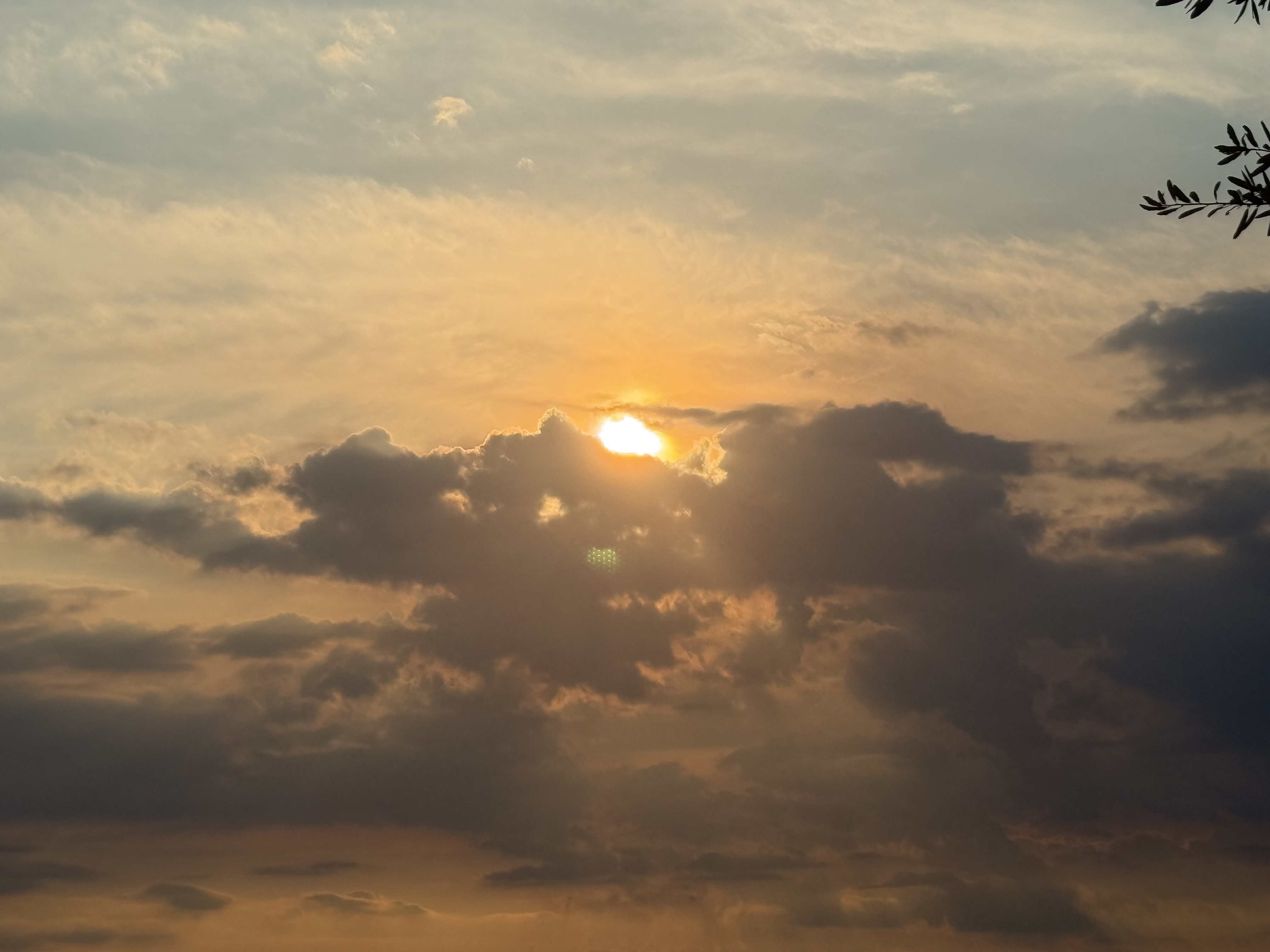 Orange Sunset